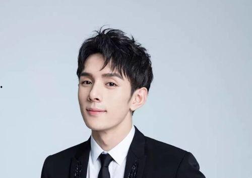 郑凯爆料魏晨视频播放,郑凯揭露魏晨视频播放背后真相  第3张