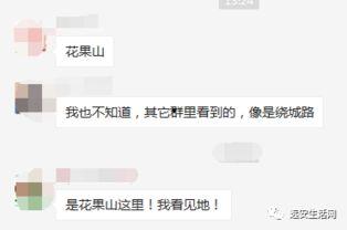 远安最新爆料事件视频,视频揭露惊人真相,事件背后有何隐情? 第3张 远安最新爆料事件视频,视频揭露惊人真相,事件背后有何隐情? 第3张