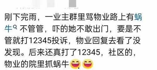 免费吃瓜群靠什么红包,红包背后的神秘力量  第3张