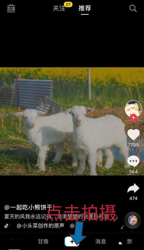 爆料网红小羊视频大全集,揭秘网络红人的魅力瞬间  第3张